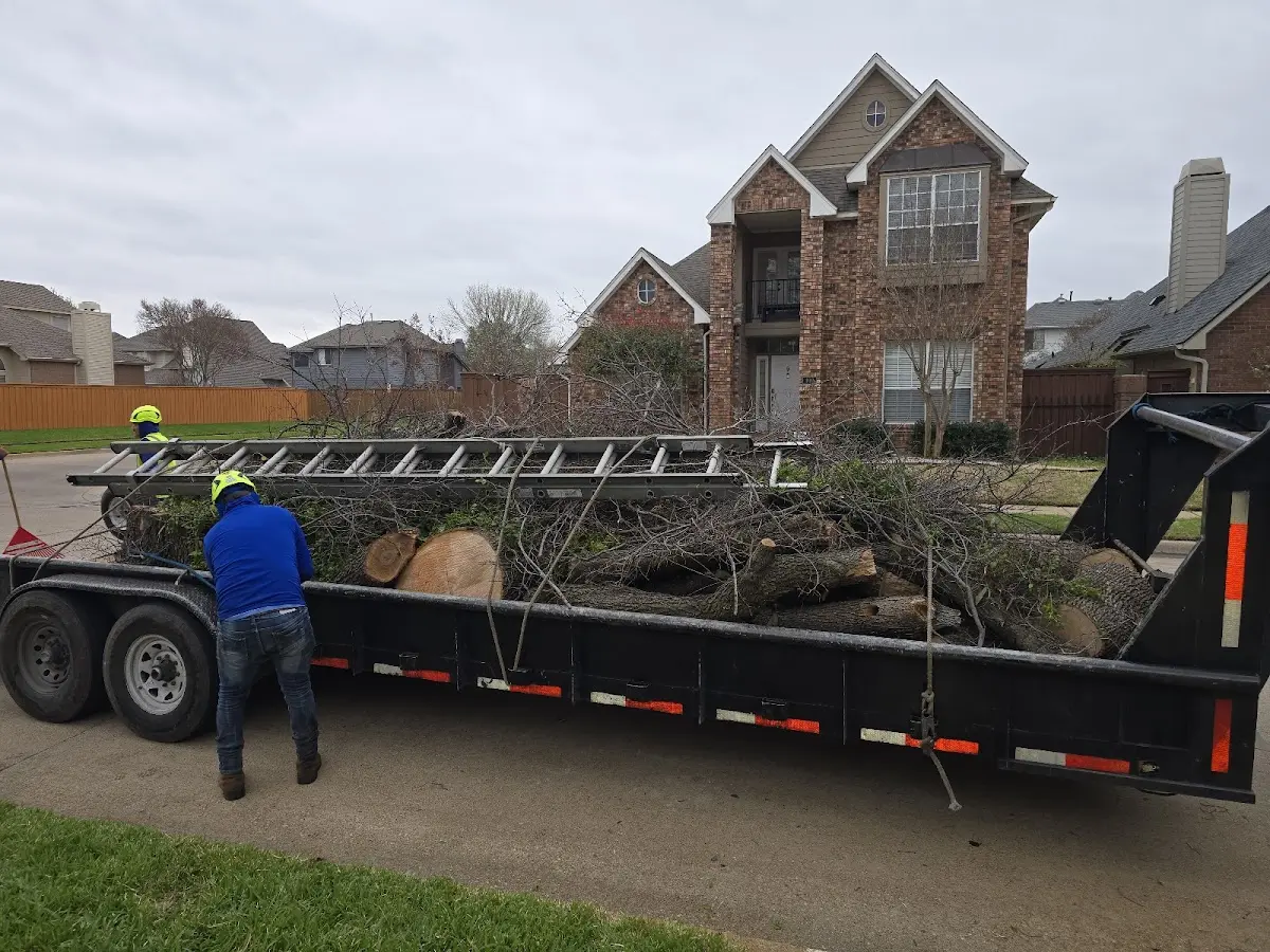 Expert Lot Clearing with proper safety equipment in Hitchins